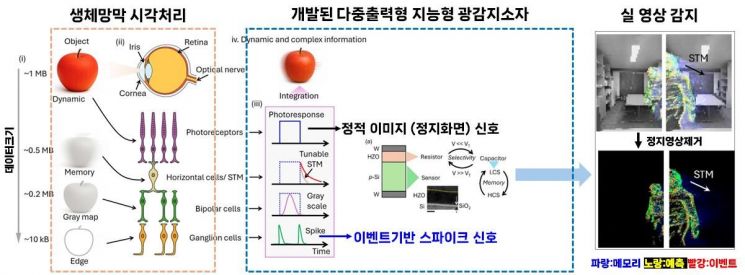 아주대 서형탁 교수 연구팀이 지능형 이미지 처리가 가능한 AI 머신 비전용 뉴로모픽 광센서를 개발했다. 아주대학교