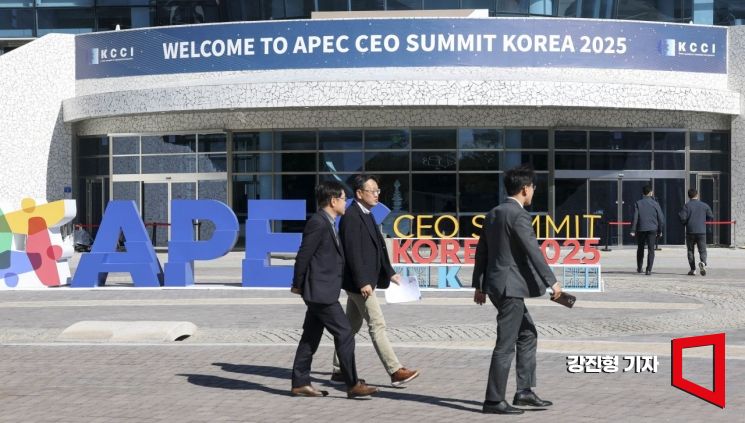 28   2025 APEC CEO    .