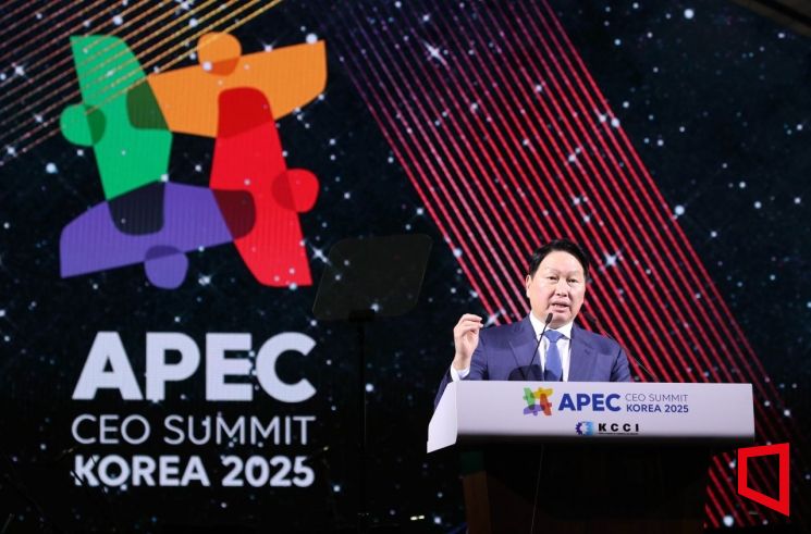 28     2025 APEC CEO      .