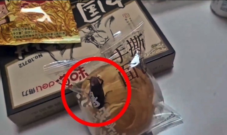 밀봉된 빵에 살아있는 바퀴벌레가... 中 또 위생 논란