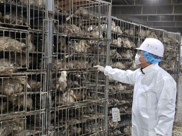 전남동물위생시험소, AI 특별방역대책기간 도축장 집중방역