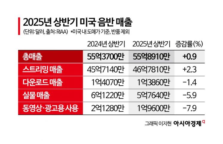 장르 넘어 산업이 된 K팝…"중요한건 속도 아닌 확산"