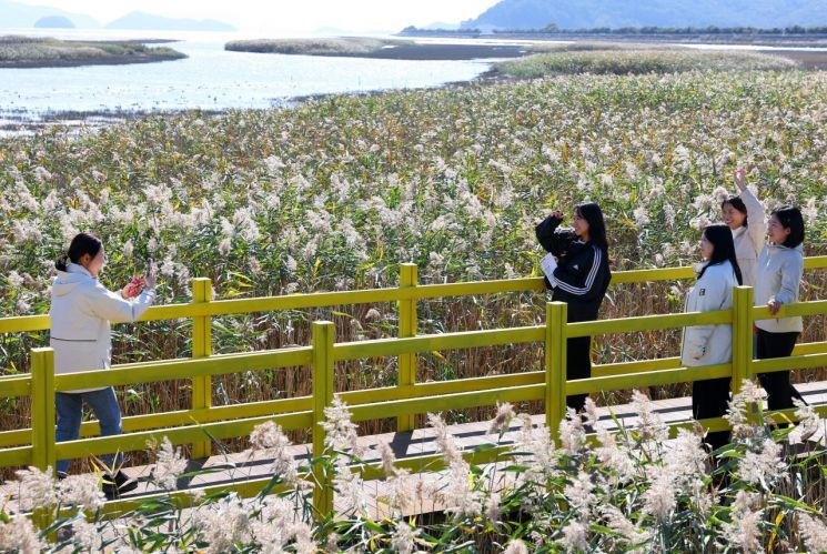 [내일 날씨] 광주·전남 흐리고 일교차 커