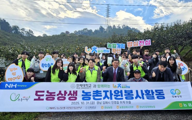 Gyeongnam Nonghyup Holds Persimmon Harvest Volunteer Activity in Gimhae