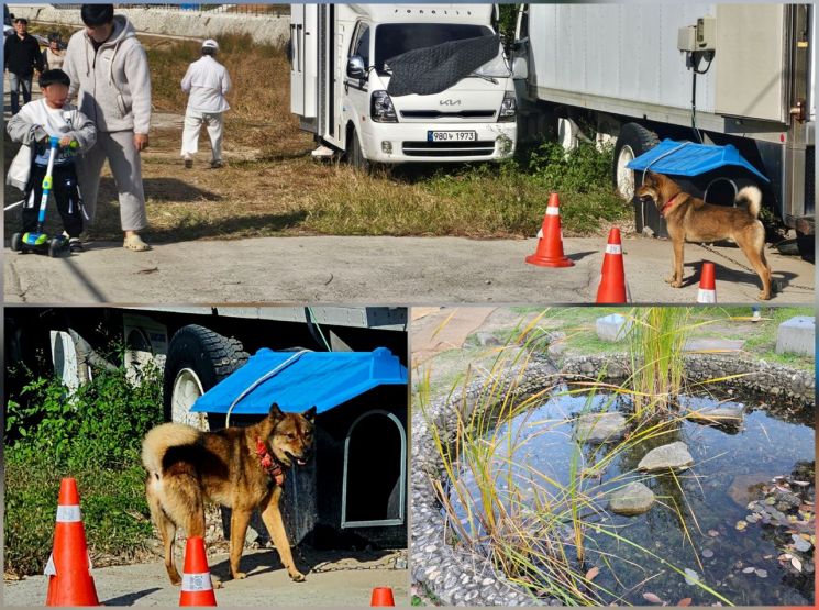 [르포]"해남의 맛에 물들다" 2025 해남미남축제를 가다