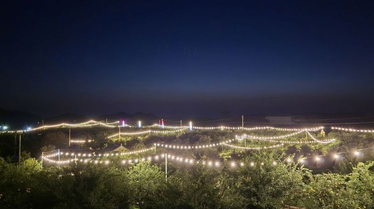 "고흥의 밤, 유자빛으로 물든다"…유자축제 야간경관 사전 개방