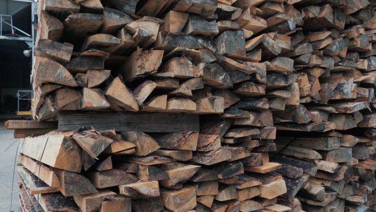 인천 동화기업 파티클보드 생산 공장에 적재된 경북 지역에서 벌목된 산불 피해목. 동화기업