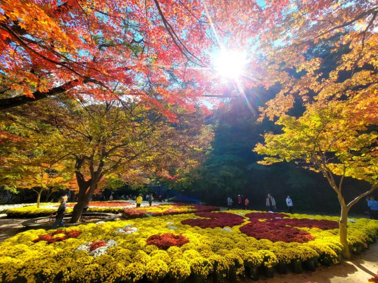 순창군이 가을 관광 성수기를 맞아 오는 7~27일까지 3주간 강천산군립공원에서 '찍GO! 받GO! 투어 이벤트'를 진행한다. 순창군 제공