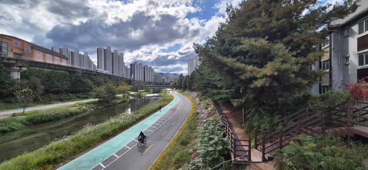 부용천 황화코스모스 길. 의정부시 제공