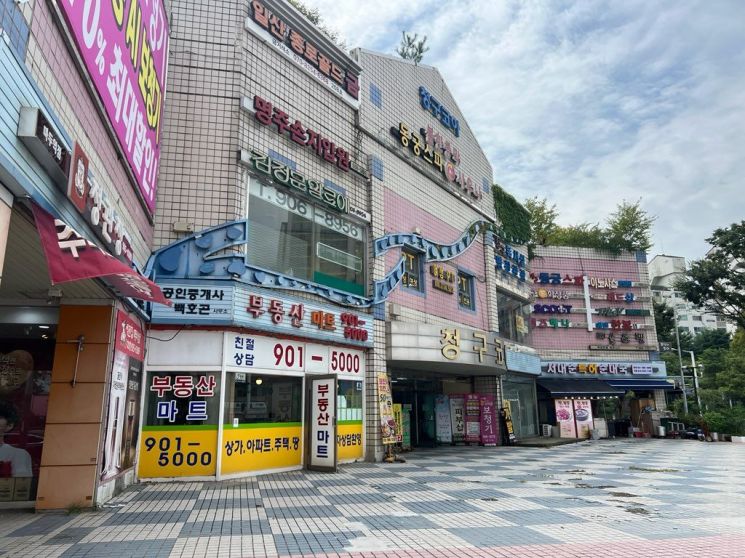 백석 청구코아 골목형상점가. 고양특례시 제공