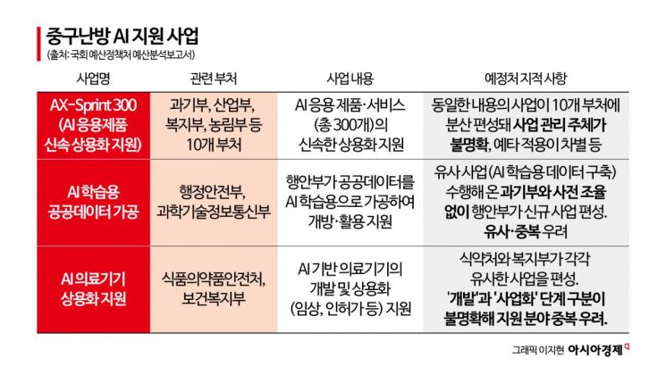 '나라 운명 건 AI 예산' 뜯어보니… 부처별 중구난방·디테일이 부족해