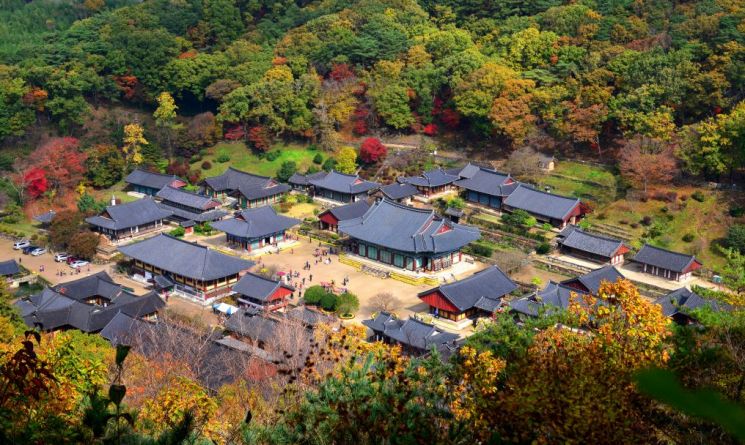 "Take a Walk Along the Foliage Paths and Savor the Deepening Scents of Autumn"