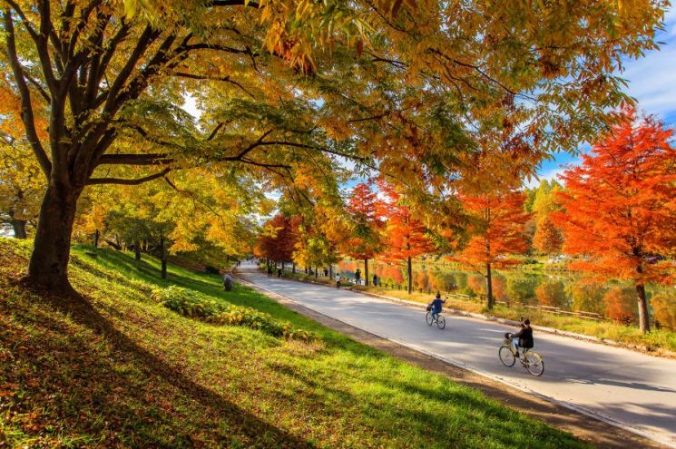 "Take a Walk Along the Foliage Paths and Savor the Deepening Scents of Autumn"