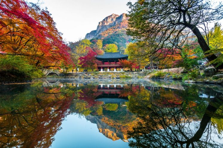 "Take a Walk Along the Foliage Paths and Savor the Deepening Scents of Autumn"