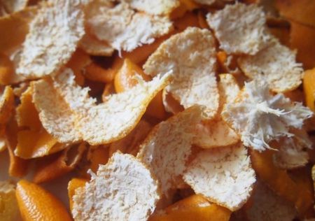 버려지는 '귤 부산물'의 재발견…"악취 99% 저감"