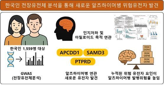 한국인 알츠하이머 유전요인 대거 규명…정밀 맞춤치료 기반 마련