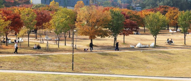 [내일날씨]예년보다 포근한 날씨…건조한 동해안 불조심 