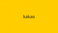 [컨콜]카카오 "카톡 개편 후 이용자 체류시간 반등"