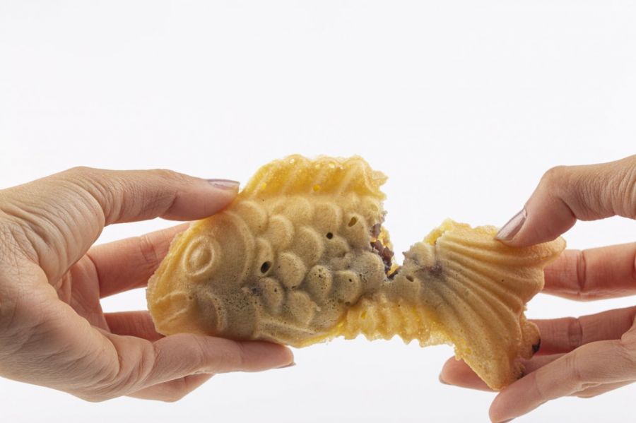 "Even the App Can't Find Them: What Happened to Fish-Shaped Pastry Street Vendors?"