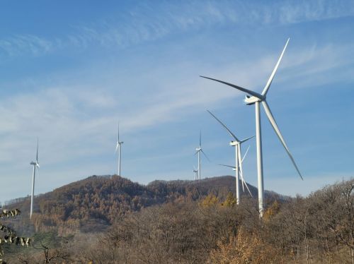 은행보다 낫네…"예금 이자의 4배" 주민참여로 수익 올리는 곳[르포]