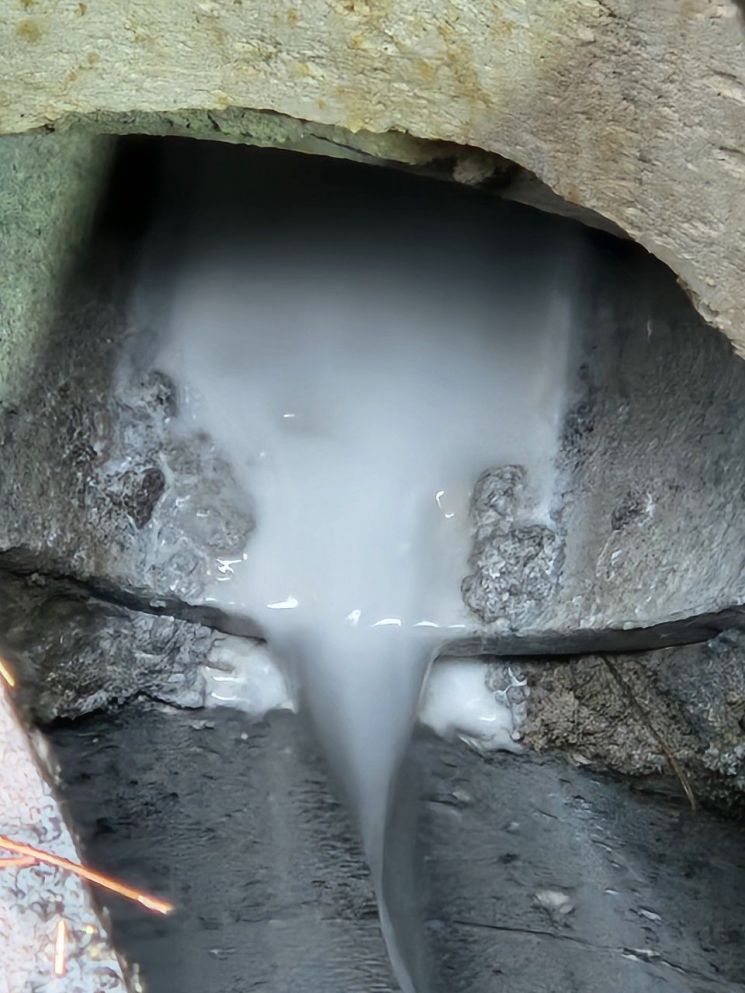 사진=대전시 제공