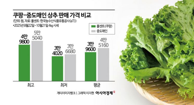 도매시장보다 쿠팡이 더 싸다?…상추 한 박스 5600원이나 차이 난 이유 [날씨는 죄가없다]③