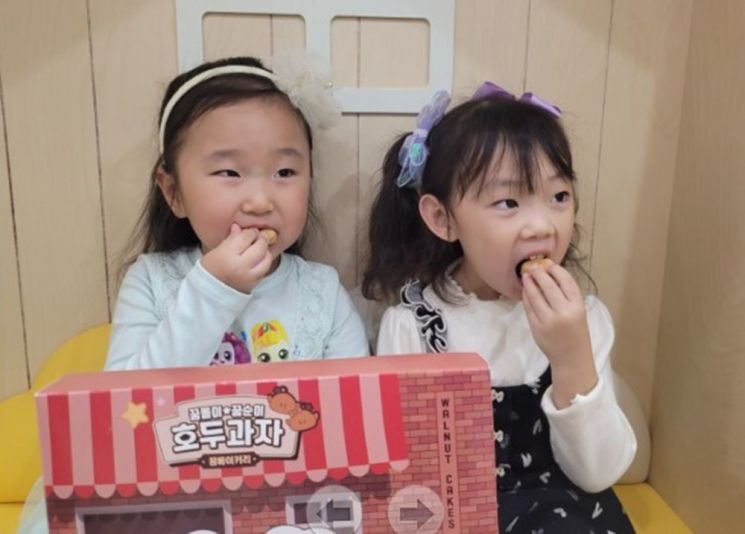 '꿈돌이 호두과자', 슈크림 맛 신규 출시