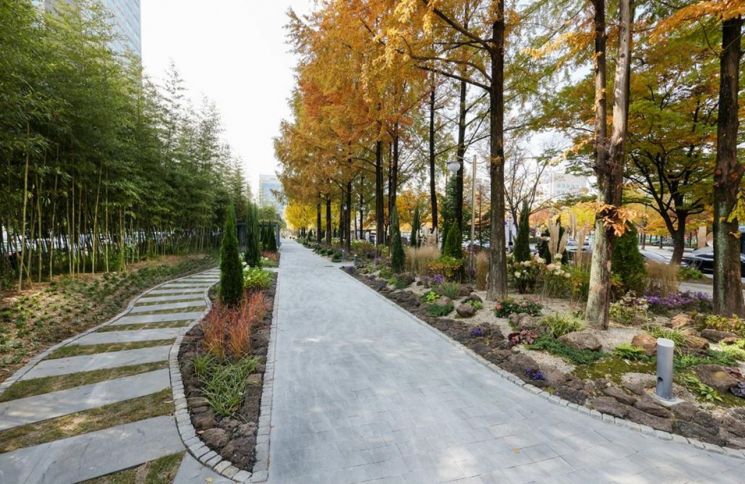 대전시청 북문 광장, 계절마다 색다른 꽃 피는 '힐링 정원' 탈바꿈