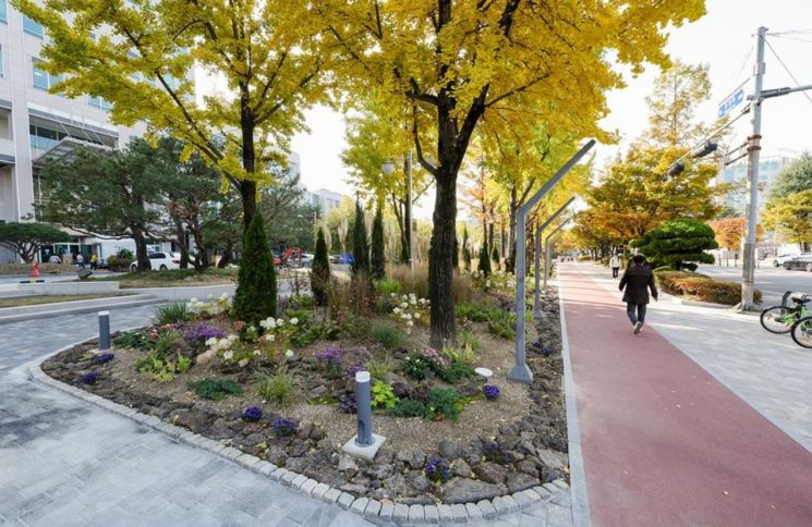 대전시청 북문 광장, 계절마다 색다른 꽃 피는 '힐링 정원' 탈바꿈