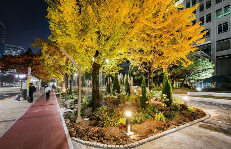 대전시청 북문 광장, 계절마다 색다른 꽃 피는 '힐링 정원' 탈바꿈