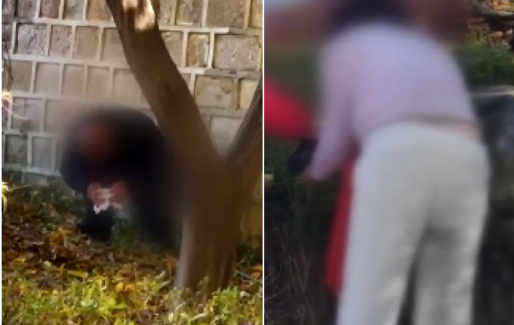 "한국인 아니지?" 한 손에 휴지 들고 '끙'…경복궁 돌담 아래서 용변 본 남녀