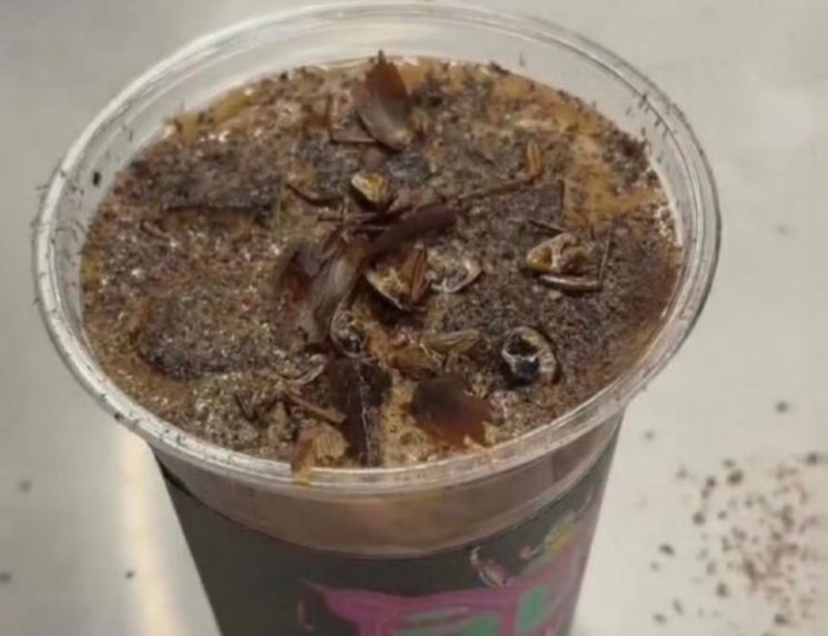 Chinese Museum Sells Cockroach and Ant Coffee for $7 a Cup, Sparking Reactions of "Yikes"