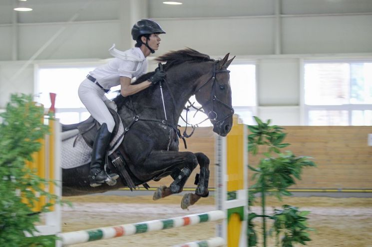 장수군이 12일~19일까지 천천면 장수국제승마장에서 '대한승마협회장배 전국승마선수권대회'를 연다. 장수군 제공