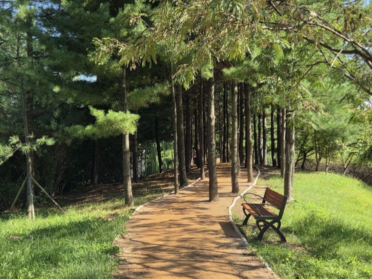 걸포중앙공원 맨발걷기길. 김포시 제공