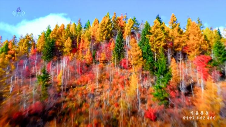Autumn scenery of Okryeonsan in Bujeon County, South Hamgyong Province, aired by North Korea's Korean Central Television on the 12th. Along the mountain slopes, larch and broadleaf trees are dyed golden and red, showing the peak of autumn foliage. Okryeonsan is a famous scenic spot with the natural monument Okryeonsan Dolgang. [Korean Central Television footage] Yonhap News Agency
