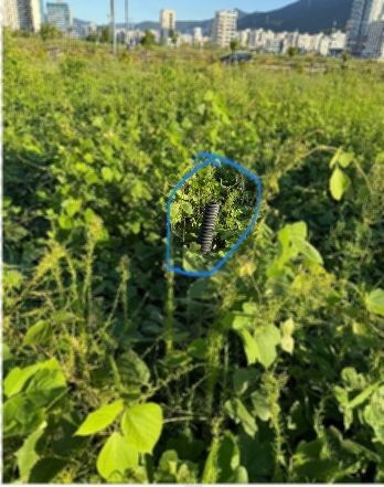 마약류를 은닉한 공터. 부산경찰청