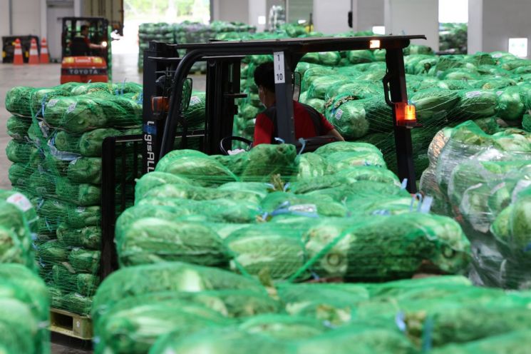 [The Weather Is Not to Blame]⑤Government Circles the Issue for Three Years on Wholesale Corporation Expulsion..."Mirage Reform"