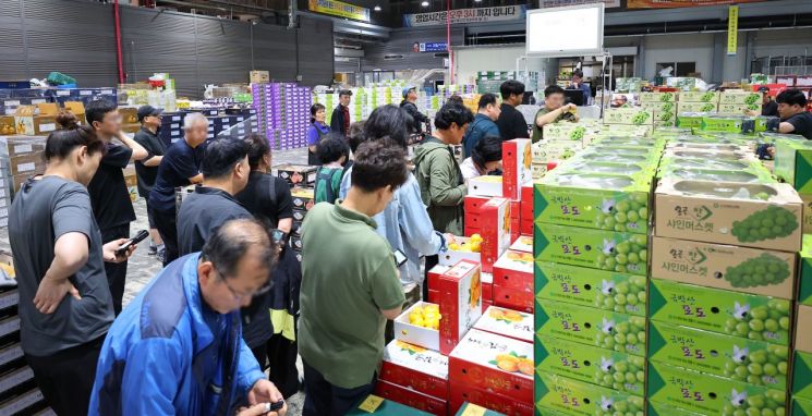 [The Weather Is Not to Blame]⑥Overseas Countries Abolish Wholesale Market Monopolies: "Price Stability for Agricultural Products Begins with Competition"
