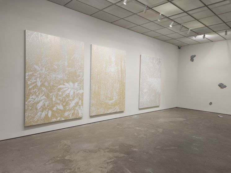 리안갤러리 서울 지하 전시장 내부 전경. 서믿음 기자