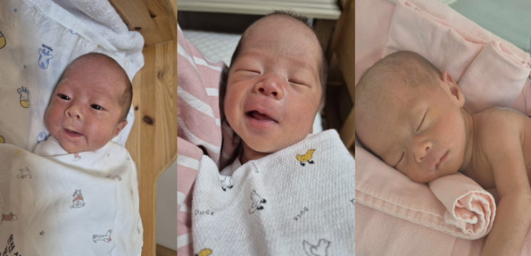 동두천시, 난임 지원 빛났다…두 해 연속 '세쌍둥이' 탄생 경사