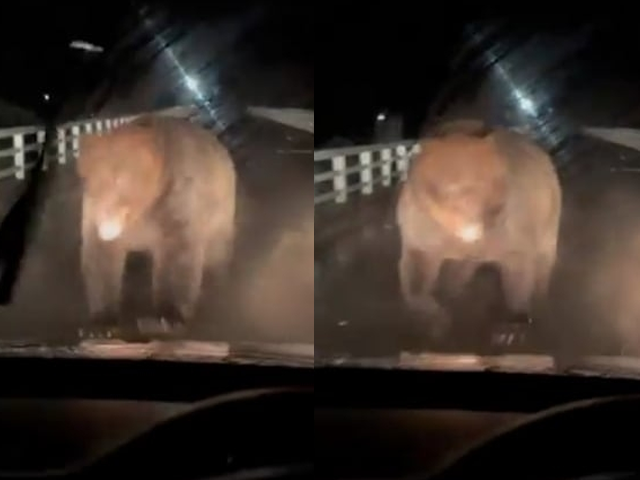 "설마설마했는데…정신 차리기 전 날아갔다" 2년째 후유증 겪고 있는 日 남성