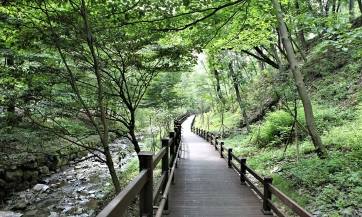 만인산 휴양림(사진=대전시 제공)