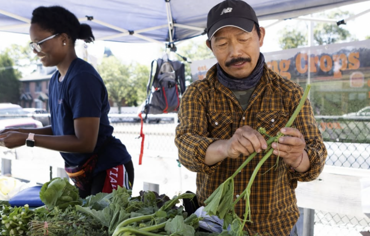 "케첩은 알아도 토마토는 본 적 없다"는 美…일본은 달걀 아닌 "회·초밥이 왔어요"[식품사막]⑤