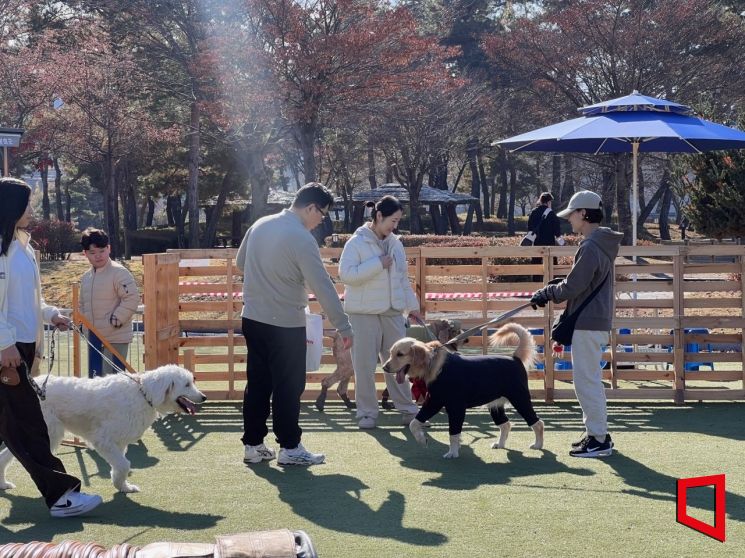 봉화군, 반려문화도시 첫 발 내딛다 반려문화페스티벌