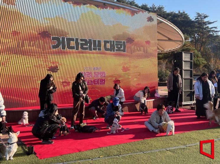 힐링·교육·체험 아우른 ‘2025 반려문화 페스티벌’, 지역 신성장 가능성 확인