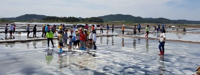 신안 태평염전에서 주최한 ‘보물섬 함초축제’ 현장 모습. 신안군 제공