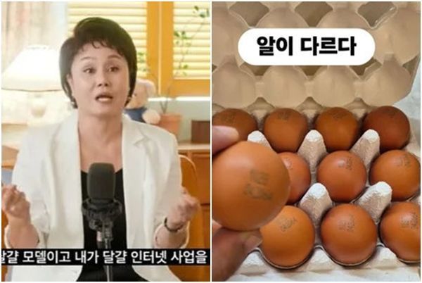 개그우먼 이경실이 판매하는 달걀. 유튜브 캡처