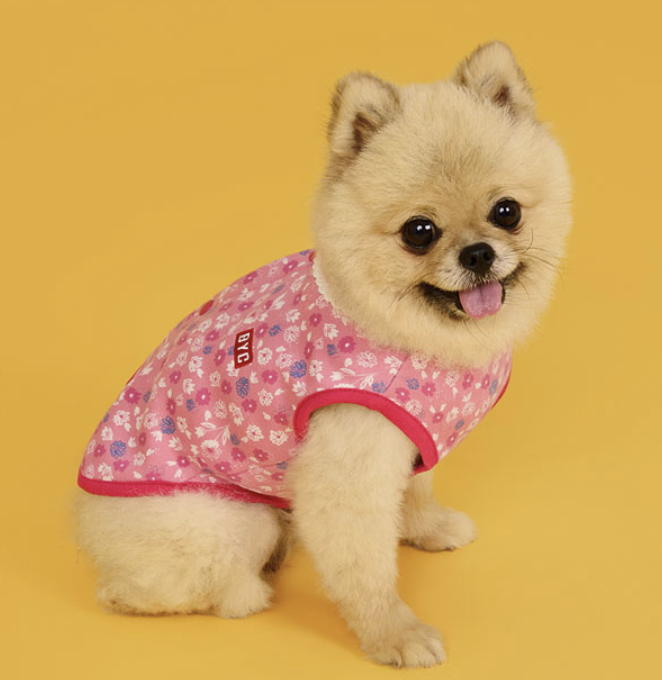 BYC개리야스 기모 김장조끼. BYC 홈페이지 캡처