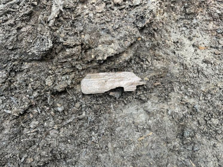 '금물노' 글자가 확인된 목간