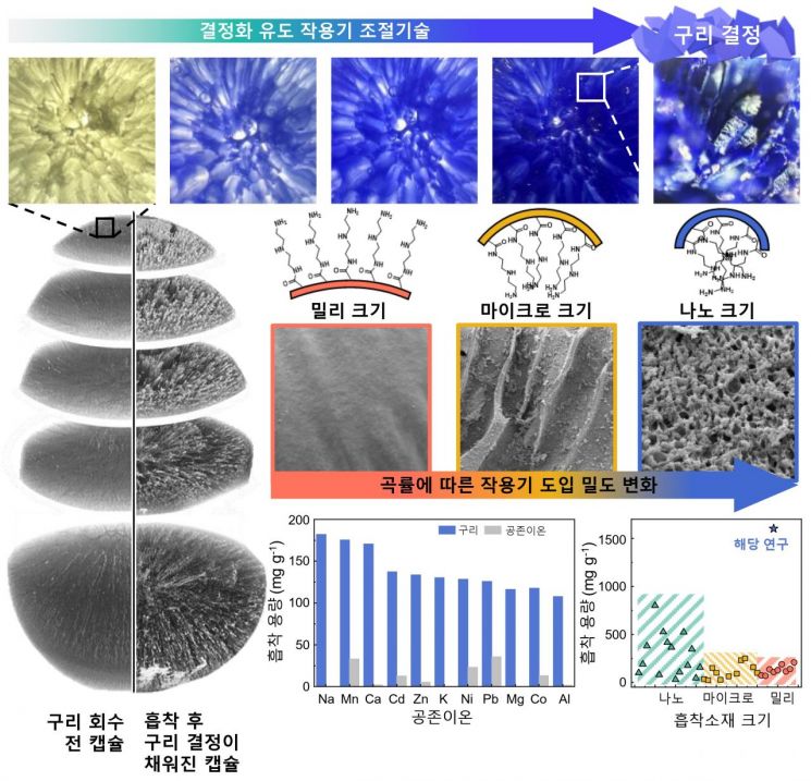 3D 고밀도 아민 밀리캡슐(DMC)의 내부 기공구조의 곡률에 따른 제어된 결정형성 메커니즘. 고밀도 아민 밀리캡슐 내에 형성된 다양한 기공의 곡률에 따라 도입된 아민 작용기의 밀도에 차이가 있음을 확인. 이를 기반으로 결정화 유도 작용기 도입. 구리 흡착 후 내부 다단기공구조는 고밀도의 결정으로 채워져 있음을 micro-CT 이미지를 통해 확인하고, 기타 양이온 금속 이온과 공존 조건에서도 구리에 대한 높은 선택도 보임. 선행 문헌에서 보고된 구리 회수와 비교했을 때 나노크기의 흡착제보다 약 2배 이상 높은 구리 회수 용량 확인. 그림설명 및 제공 : 최재우 한국과학기술연구원 책임연구원, 정영균 박사후연구원, 이윤 학생연구원.